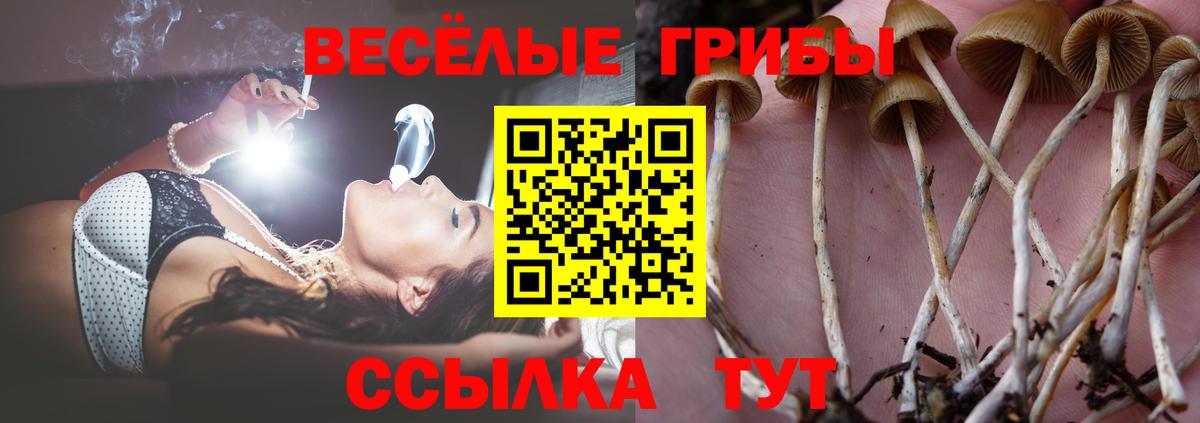 Псилоцибиновые грибы Magic Shrooms  Вход с VPN  Сатка  Галлюциногенные грибы MAGIC MUSHROOMS 
